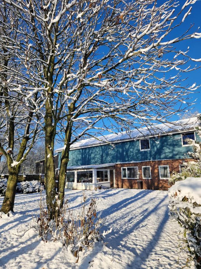 Ferienwohnung Sort Sol Grellsbuelldeich 7 Aventoft Buitenkant foto