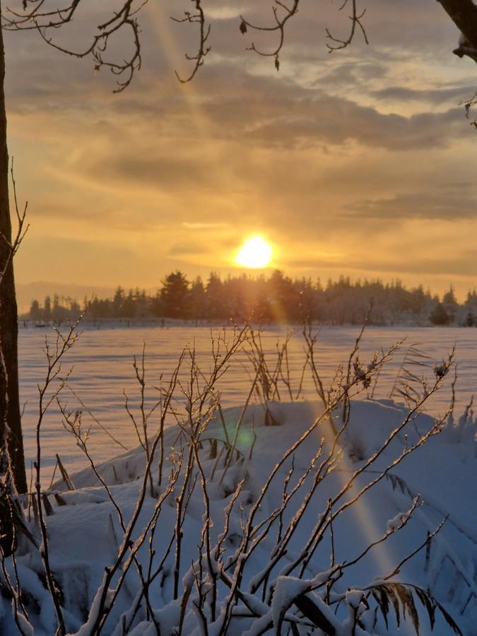 Ferienwohnung Sort Sol Grellsbuelldeich 7 Aventoft Buitenkant foto