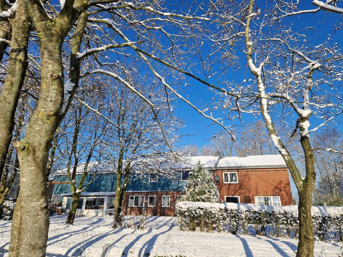 Ferienwohnung Sort Sol Grellsbuelldeich 7 Aventoft Buitenkant foto