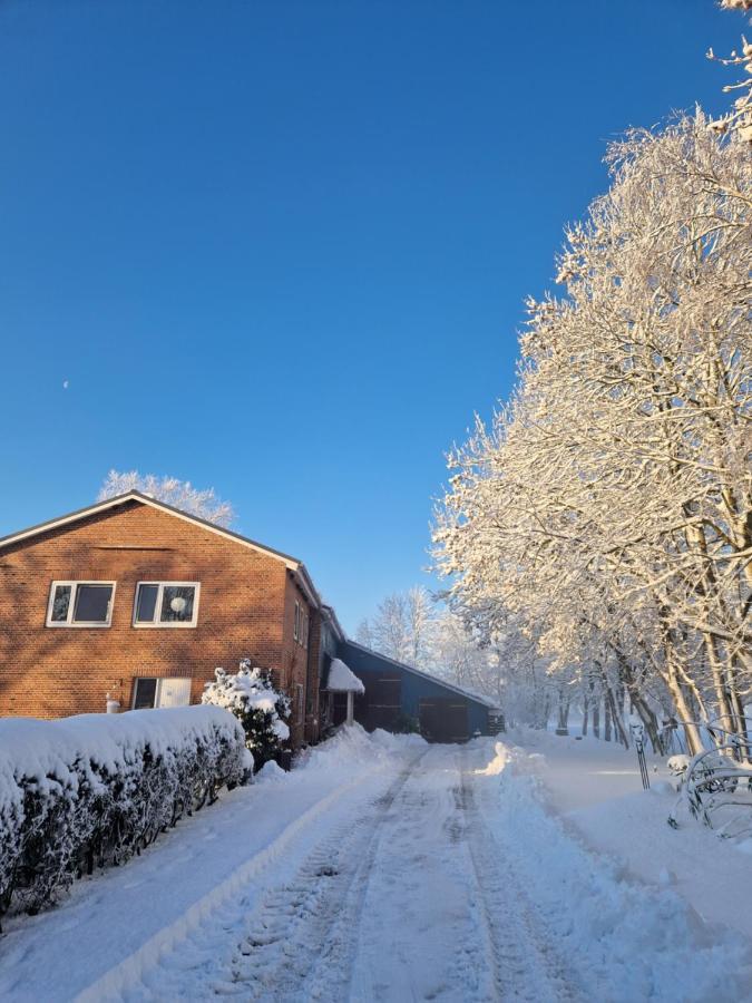 Ferienwohnung Sort Sol Grellsbuelldeich 7 Aventoft Buitenkant foto