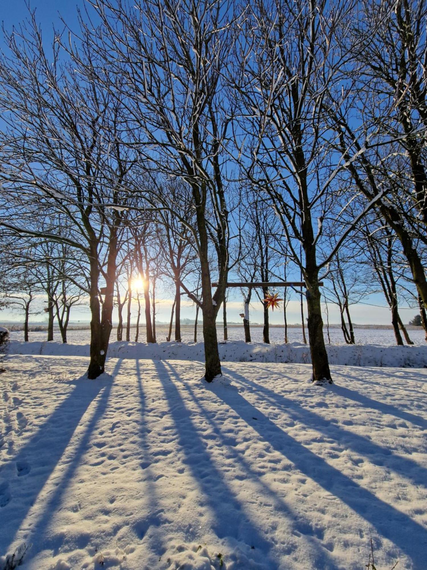 Ferienwohnung Sort Sol Grellsbuelldeich 7 Aventoft Buitenkant foto