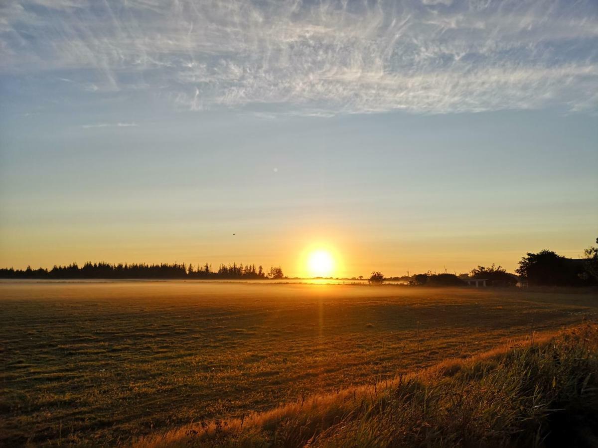 Ferienwohnung Sort Sol Grellsbuelldeich 7 Aventoft Buitenkant foto